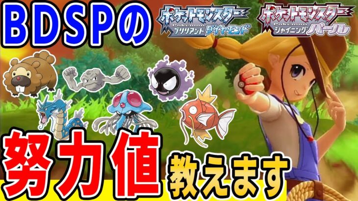 【BDSP】ポケモンを最強にする”努力値”を溜める方法をダイパリメイクで解説！！オススメスポットはここだ！！【ブリリアントダイヤモンド/シャイニングパール】