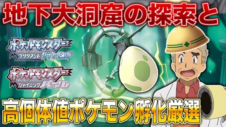 【ポケモンBDSP】地獄のメタモン厳選ポケトレ無限連鎖編ｗｗ口の悪いオーキド博士の実況【ダイパリメイク】