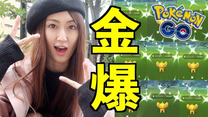 モンボと初コミュデイ参戦で金コリンクわんさか!! 史上最高色違い数!!【ポケモンGO】