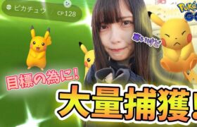 【ポケモンGO】年内までに〇〇!?ピカチュウのスポットライトアワー！寒さとの戦い？いいえ、捕獲率の悪さとの戦い！