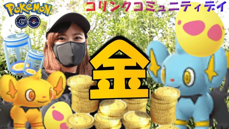 「ポケモンGO」金！98％…？！7タマ18連！コリンクコミュニティデイ✨