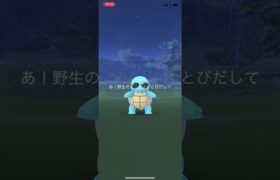 【ポケGO】ポケモンGO 野生のサングラスゼニガメ出現！ 2021年11月23日