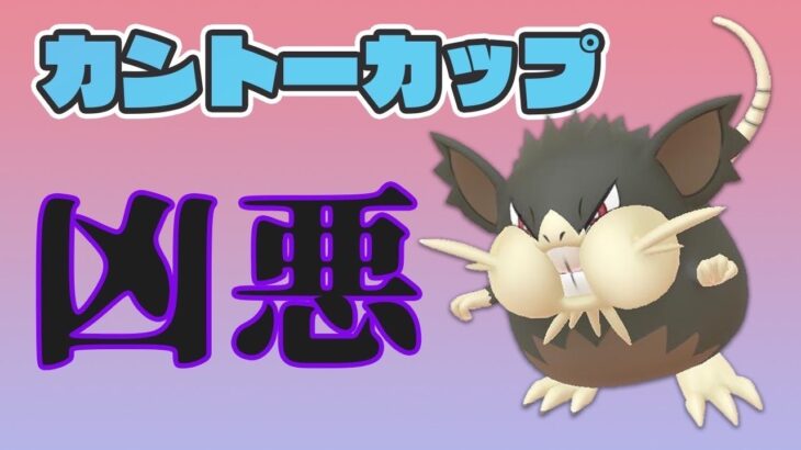 【カントーカップ】環境対策！アローララッタが刺さりまくって連勝！【ポケモンGO】【GOバトルリーグ】