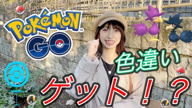 【ポケモンGO】色違いポケモンを探してGOしたら奇跡の出会いが！？！？