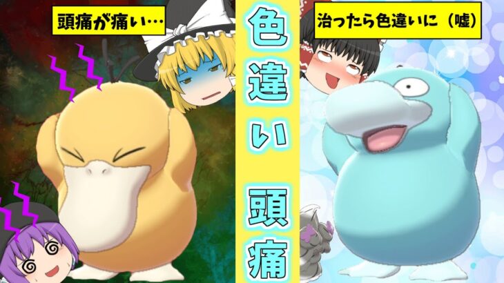 【ポケモン剣盾】俺と同じ頭痛に悩む同志…色違いコダックをダイブボールでゲットしたい！【ゆっくり実況】