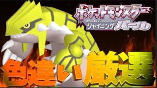 【ポケモン ダイパリメイク】色違いグラードンを手にする配信者# 10【神回を作る】