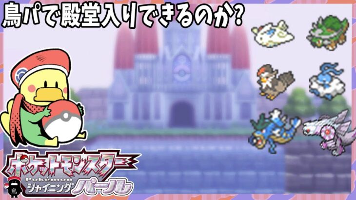 【ポケモン】鳥ポケパ(?)で殿堂入りを目指す15年ぶりにプレイするリメイクポケモン【シャイニングパール】【よっぴ～】