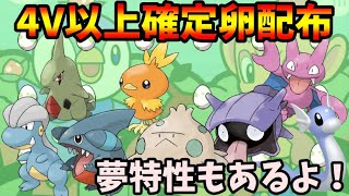 キノココ シェルダー フカマル ヨーギラス タツベイ グライガー ミニリュウ アチャモ 夢特性あり 4v以上確定配布します 詳細は概要欄 早い者勝ち ポケモンダイパリメイク ポケモンbdsp ポケモンgo動画まとめ