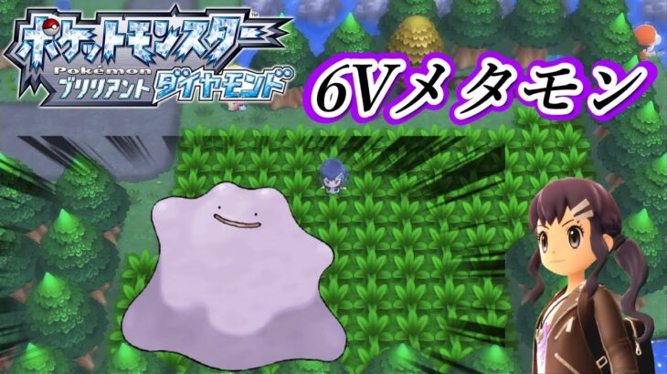 【ポケモンダイパリメイク】6Vメタモンを求めて 耐久配信 9日目【ポケットモンスター】