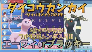 ポケモンbdsp ５v確定 クリスマス配布会 ポケモンgo動画まとめ