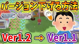 【ポケモン ダイパリメイク】アプデで上がったバージョンを下げて無限増殖を行うことができるのか？【アップデート/バグ/裏技/攻略/ブリリアントダイヤモンド・シャイニングパール／BDSP/増殖バグ】