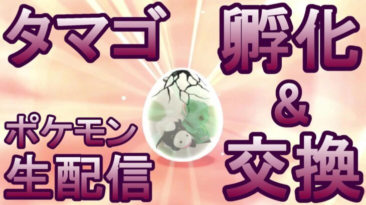 【ポケモン】タマゴを孵化させながら交換会🥚ダイパリメイクのんびり生配信！パペットマペットのポケットモンスターBDSP（シャイニングパール）🐮🐸【LIVE】