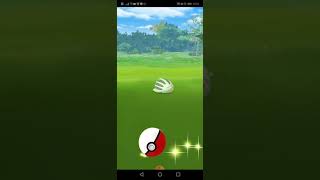 ポケモンGO ウリムー 色違い