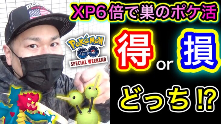 【検証】スペシャルウィークエンド中に巣のポケ活は得？損？【ポケモンGO】