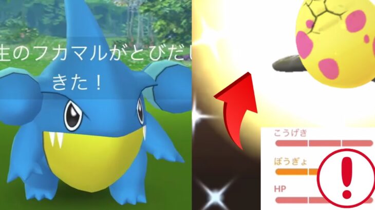 【ポケモンGO】まさかの神引き！？今年最高クラスの色違いレアポケモンが降臨・・！コミュデイどうだった・・？【コミュニティデイ・フカマル・クリムガン・色違いポケモン】