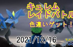 ポケモンGOキュレムレイドバトル2021/12/16 – 色違いゲット！