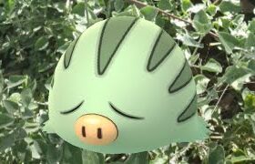 Swinub Incense Day Shiny Hunt Pokemon Go Live