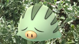 Swinub Incense Day Shiny Hunt Pokemon Go Live
