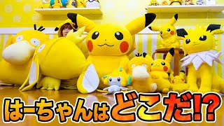 ポケモンだらけの部屋でかくれんぼ！ピカチュウやリザードンになりきって身を隠せ！お家でともだちを探そう♪【対決】