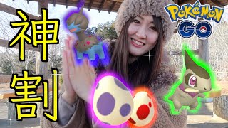 久々の神割!! 12.10タマ割っていく!!【ポケモンGO】