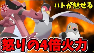 【ポケモン剣盾】ハトが大活躍!? 怒りの4倍超火力パーティ!!【謎のアブソルもいるぞ】