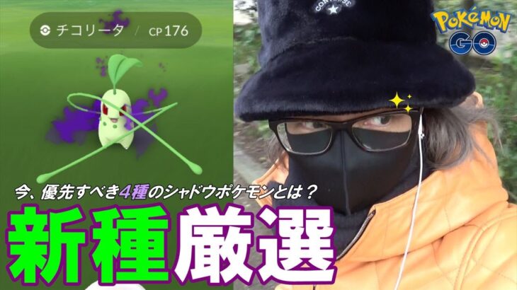 【ポケモンGO】新規シャドウをコンプして厳選を開始せよ！「いちおう戦ってみようかな～？」は何を繰り出してくるのか？初見のGOロケット団リーダーを「圧倒する超絶テク」を魅せるスペシャル！【85%を引け】