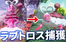 【ポケモンアルセウス】新ポケ ラブトロス捕獲イベント 入手方法まとめ  │Pokémon LEGENDS アルセウス