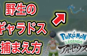 【アルセウス】Pokémon LEGENDS アルセウス配信#3【ポケモンGOおじさん】