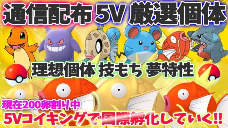 【ポケモン ダイパリメイク 】配布！厳選５Vゲンガー マリル 夢ヒトカゲ 夢フカマル コイキング ヒンバス‼金コイ只今200卵割目!!!国際孵化しながら交換会☆#28【BDSP】