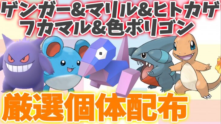 ポケモン ダイパリメイク 配布 厳選５vマリルや５vゲンガー ヒトカゲ 夢フカマル 海外版ヒトカゲ プレゼント 更に色違いポリゴンも配布 メタモンのポケトレしながら交換会 26 sp ポケモンgo動画まとめ