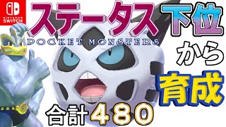 【ポケモン剣盾】ステータス下位から育成カイリキーといっしょ♡６０【オニゴーリ】