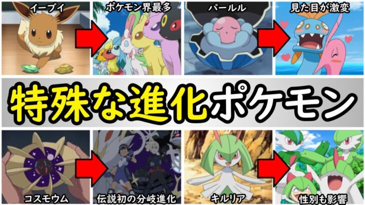 【歴史】アニポケに登場した分岐進化ポケモンまとめ【様々な進化先を持つポケモンを紹介】