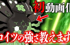 データの少ないダークホース伝説。実はジガルデが流行しかけてるの知ってる？【ポケモン剣盾】