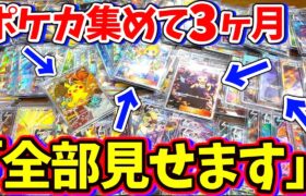 【総額〇〇◯万円】本気で集めたコレクションを晒します。（ポケモンカード）