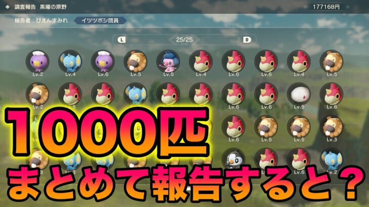 【検証】1度に1000匹まとめて博士に報告してみたら新事実が発覚したww【ポケモンレジェンズアルセウス】