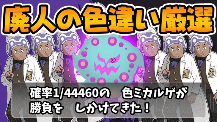 【120時間】超激レアの色違いミカルゲ厳選します！色違いアンノーン全種類コンプまであと少し！【ポケモンレジェンズアルセウス Pokémon LEGENDS】