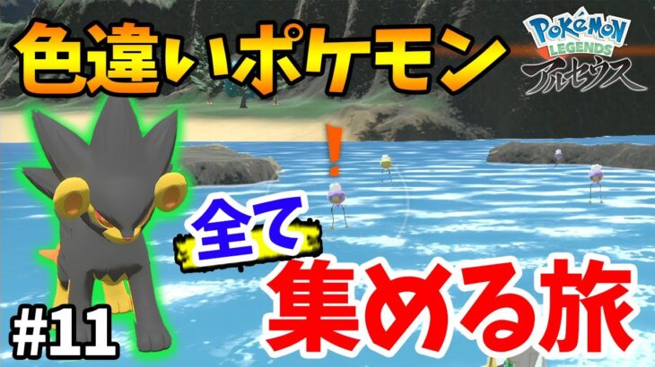 【ポケモン】残り145種類！時空の歪み限定も!! ミカルゲも!!! 捕まえられる色違いを全てコンプする #11【Pokémon LEGENDS アルセウス】【ぽんすけ】