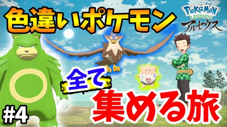 【ポケモン】残り182種類！時空の歪み限定も!! ミカルゲも!!!! 捕まえられる色違いを全てコンプする #4【Pokémon LEGENDS アルセウス】【ぽんすけ】