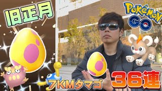 7KMタマゴ36連！旧正月イベントのタマゴはハズレがない？色違いや神個体の他に普段狙えないアイツを狙え。ツボツボ、シシコ【ポケモンGO】