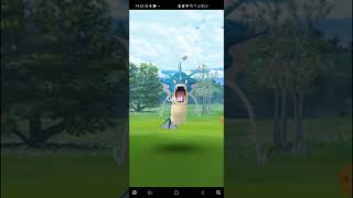 [ポケモンGO]野生のギャラドス捕獲！！