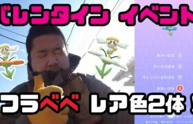 【ポケモンGO】バレンタインイベント！フラべべのレア色2体を求めて