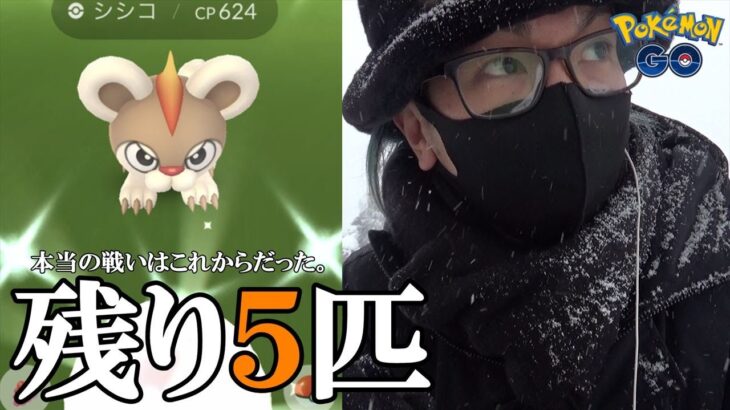 【ポケモンGO】旬の色違い♂♀コンプまで残り5匹！しかし今季最大の雪が襲いかかる！たった「1時間の冒険」でも前に進めば何か起こるかもしれないスペシャル！【旧正月6日目】