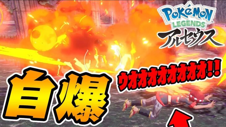 新ポケモンが特攻してくるんだがｗｗ-PART7-【ポケモンレジェンズアルセウス実況】