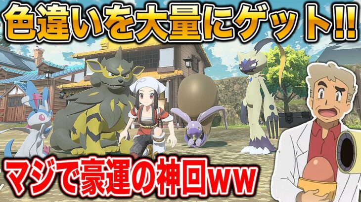 【Pokémon LEGENDS アルセウス】色違いのポケモンを大量にゲットするマジで神回がヤバすぎたｗｗ口の悪いオーキド博士の実況【ポケモン】