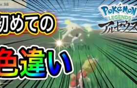 【アルセウス】Pokémon LEGENDS アルセウス配信#7【ポケモンGOおじさん】
