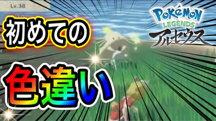 【アルセウス】Pokémon LEGENDS アルセウス配信#7【ポケモンGOおじさん】