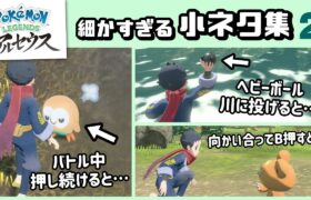 【ポケモン レジェンズ】ゲームに隠れた細かすぎる小ネタ集２【Pokémon LEGENDS アルセウス】@レウンGameTV