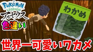 【色違い】根強いファンを抱える あのポケモンの色違いが出たぞ！【ポケモンアルセウス】