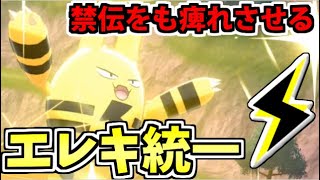【ポケモン剣盾】痺れるイナズマ!!「エレキ統一」パーティで痺れさせる!!