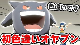 実は色違いオヤブン初めてです【ポケモンレジェンズアルセウス】